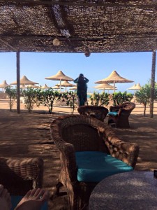 12032020_472119632966936_4782258389922714259_n