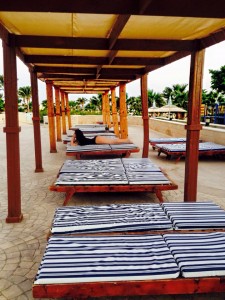 12033158_472019542976945_9217075496087679368_n