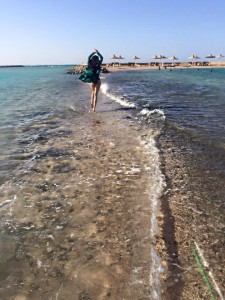 12039237_472119772966922_9197547476015733776_n