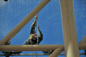 12063859_1487087698260864_5789691783114617397_n