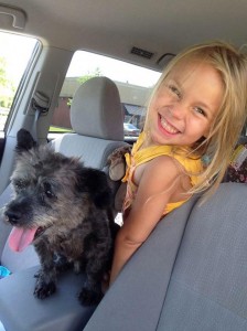 12063945_617597205047386_1103199445_n