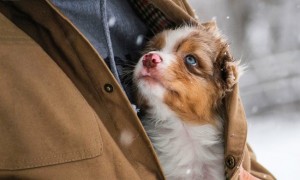 12064181_617597148380725_2036559234_n