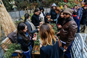 12065748_1185157334834198_3518313023110659615_n