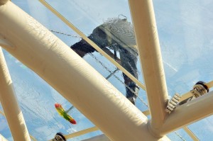 12074518_1487087528260881_2311444647934178569_n