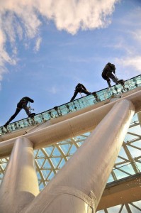 12074755_1487087288260905_258390747496419547_n