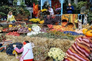 12074796_1185157268167538_2546508295727461762_n