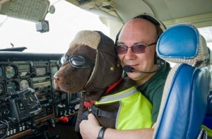 12086974_617597191714054_1839432224_n