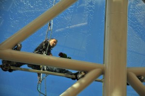 12088219_1487087688260865_7417553443804096923_n