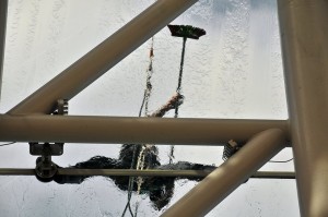 12096096_1487087648260869_4200404807697788953_n