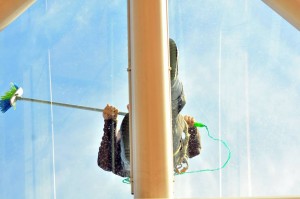 12096349_1487087461594221_8500465949388903765_n