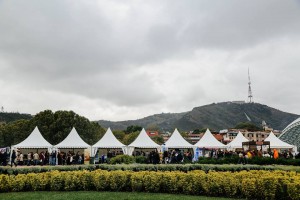 12105746_1185156894834242_8014573175985383783_n