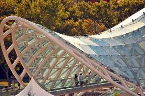 12106770_1487087984927502_3440137606106806457_n