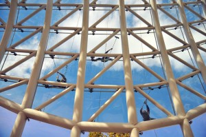 12108250_1487087681594199_2888636425495637457_n