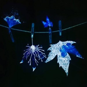 12108896_615945138545926_7786524574457235531_n