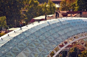 12108968_1487087978260836_4472556248020359804_n