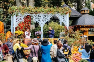 12109114_1185157104834221_2789005414342664760_n