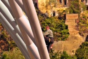 12111948_1487087858260848_8998791859418839343_n