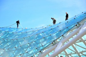 12112350_1487087361594231_5224104129662480538_n