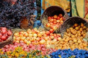 12118651_1185157238167541_1729437786068270607_n