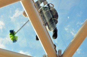 12119085_1487087471594220_6327844942391625115_n