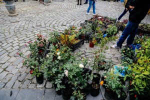 12144715_1185157241500874_26812540421270317_n