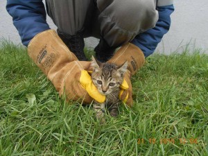 12170686_10204798026782121_31149144_n