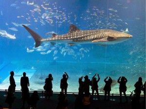 275050a1161133edb3490a4ce8589224