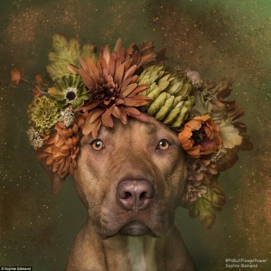 2D26F7F000000578-3263635-That_face_The_artist_and_activist_began_her_project_to_learn_mor-a-35_1444247235340