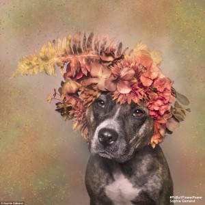 2D26F7F800000578-3263635-Greater_good_The_photographer_will_donate_the_proceeds_from_her_-a-34_1444247235314