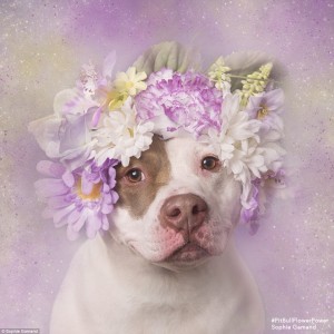 2D26F80000000578-3263635-Inspiration_Sophie_drew_from_Baroque_and_Rococo_styles_for_her_s-a-26_1444247235003