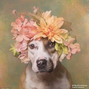 2D26F80C00000578-3263635-How_lovely_Sophie_was_dedicated_to_changing_people_s_perceptions-a-33_1444247235234