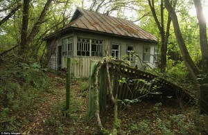 2D4C252100000578-0-image-a-117_1444563355081