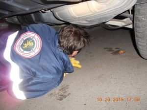 804646_10204798026702119_941010622_n