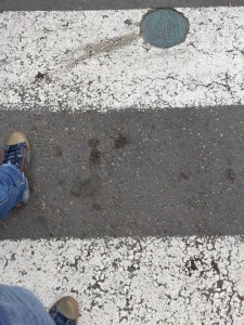 12319755_1005090982870120_1703038193_n