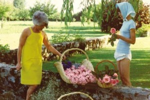 12398892_441671019361622_2032901241_n