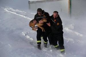 12506523_1111226502255526_828363623_n