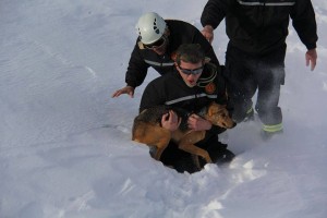 12506811_1111226468922196_832428226_n