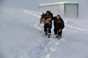 12571162_1111226492255527_944315767_n