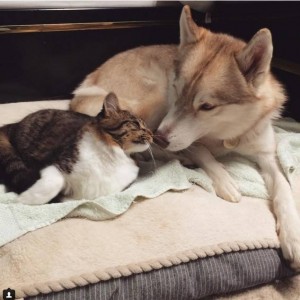 12583807_10206766754585161_5175788_n