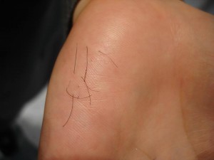 12745824_10206922192751018_4180255514069176953_n