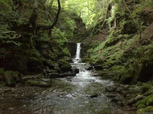 12895469_1674115382840032_1801636330_n