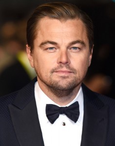 26d65d4d77952cc628be017c6a751186_fitted_740x700