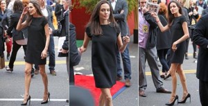 12939169_992900267413779_1670078791_n