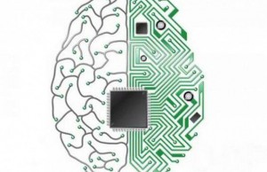 12988160_1168028176570752_273454716_n