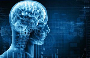 13014792_1168028183237418_1626132903_n