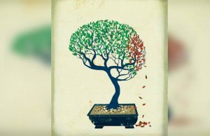 13014840_1168028173237419_1444160449_n