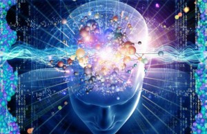 13020221_1168028196570750_1377296134_n