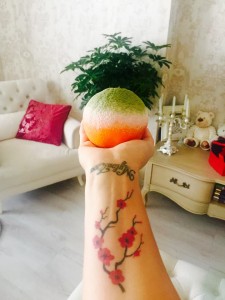 13083264_1070135706358785_1400362926007289850_n