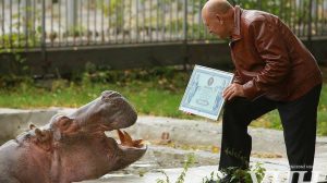 13250495_1195029277203975_1295652819_n