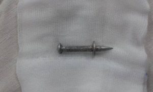 13511643_1035792729791199_2027494904_n